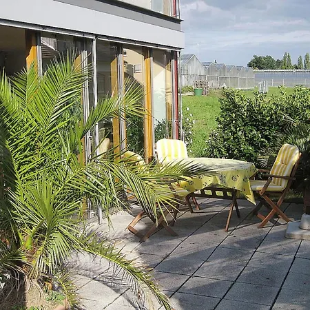 Fantastic With Light Apartment
